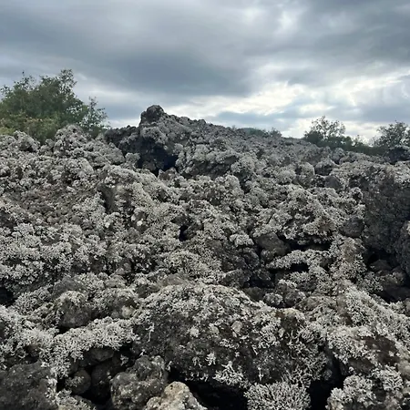 Poggio Roseto 度假居