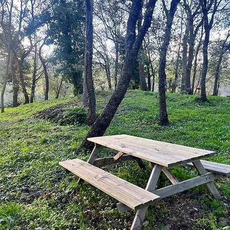Holiday home Poggio Roseto