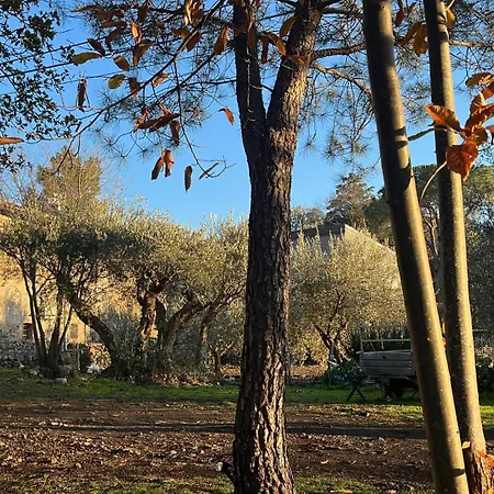 Holiday home Poggio Roseto