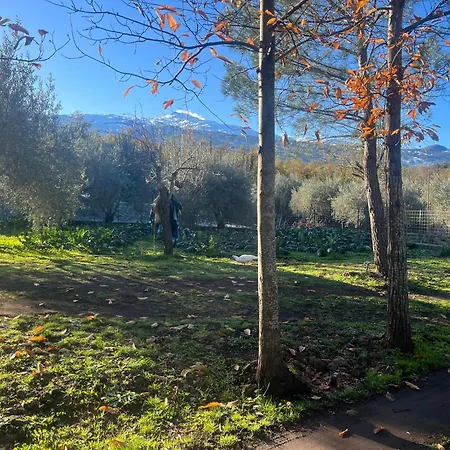 Holiday home Poggio Roseto Randazzo