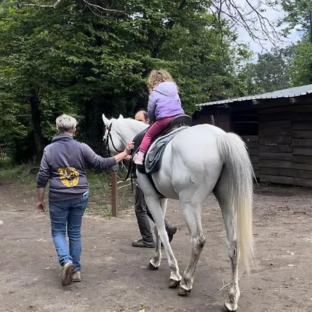 Hébergement de vacances Poggio Roseto *