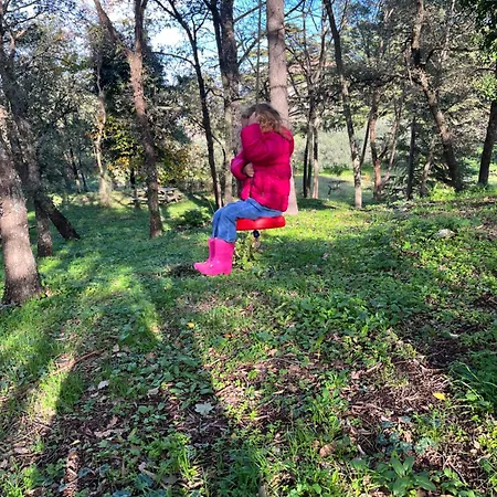 Hébergement de vacances Poggio Roseto