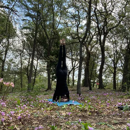 Hébergement de vacances Poggio Roseto Randazzo