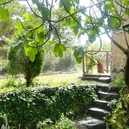 Poggio Roseto Holiday home *