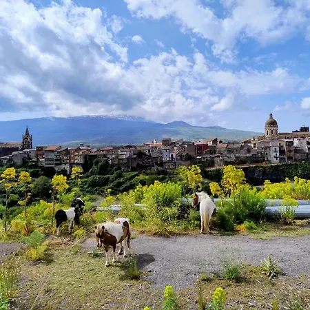 Poggio Roseto *