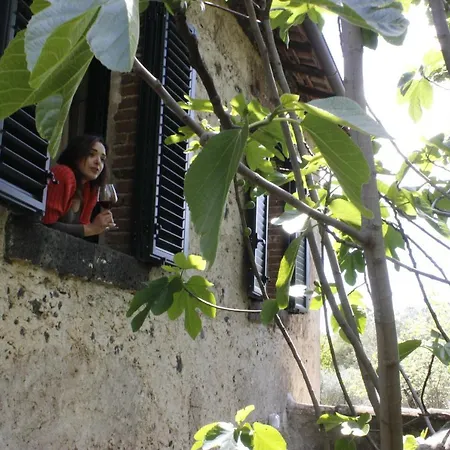 Poggio Roseto