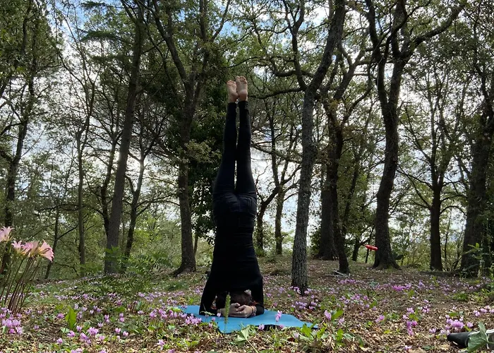 Tatil Evi Poggio Roseto Randazzo